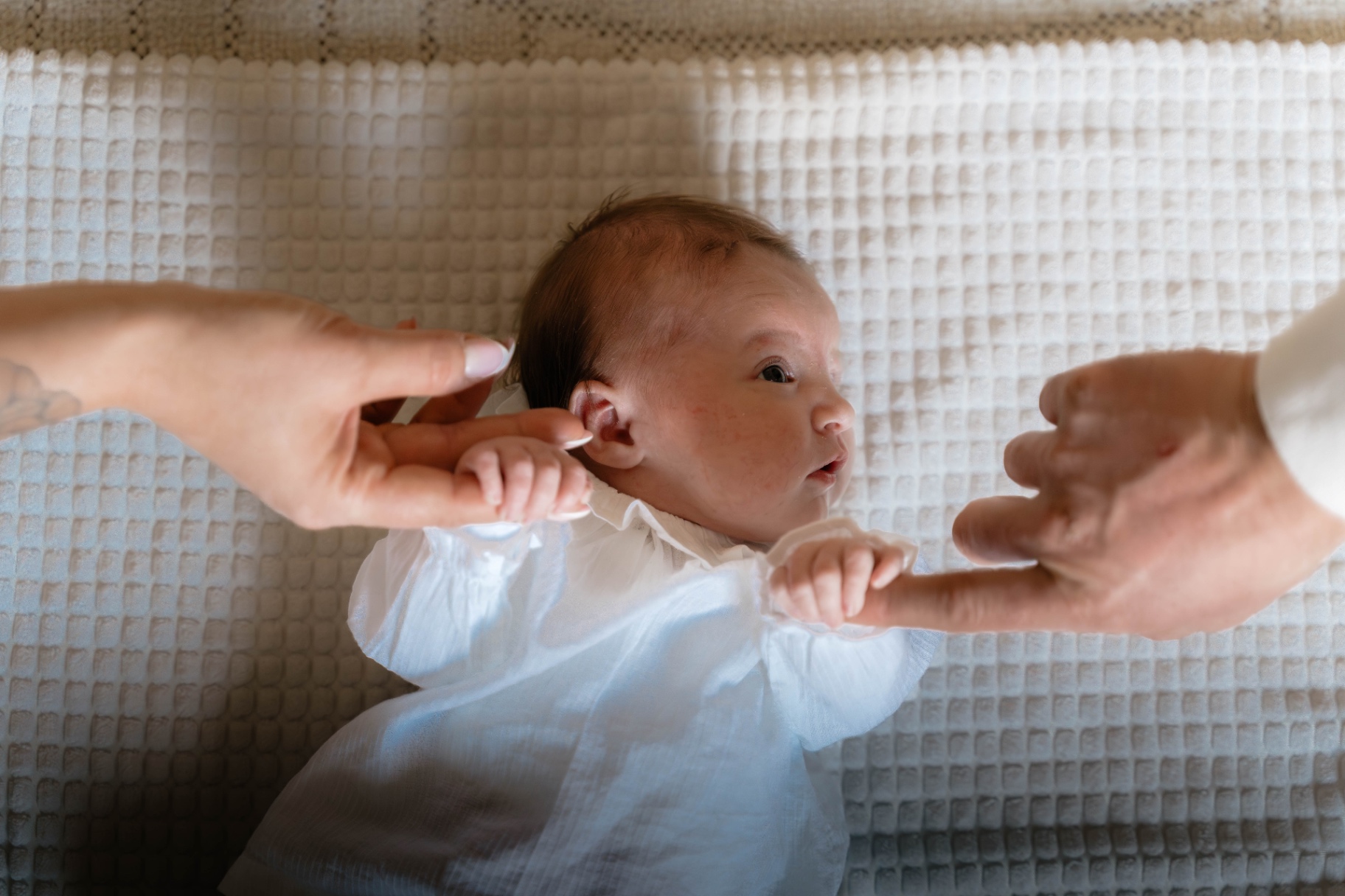 23022025-BIL06349-Avec accentuation-Bruit.jpg