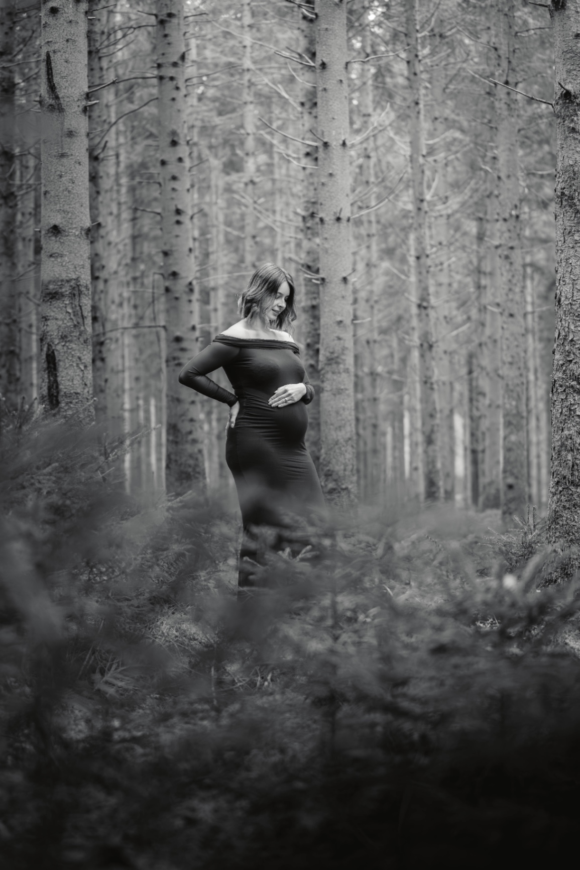 16112024-BIL03743-Avec accentuation-Bruit.jpg