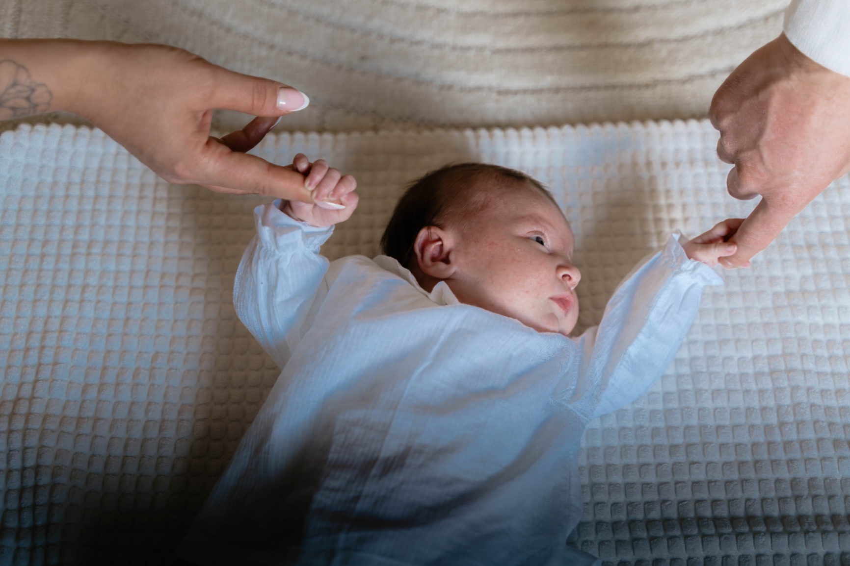 23022025-BIL06344-Avec accentuation-Bruit.jpg