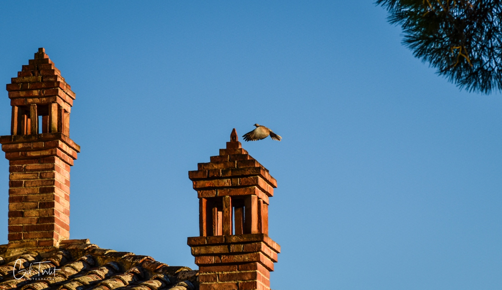 Voyage en atmosph'air Toscane-15.jpg