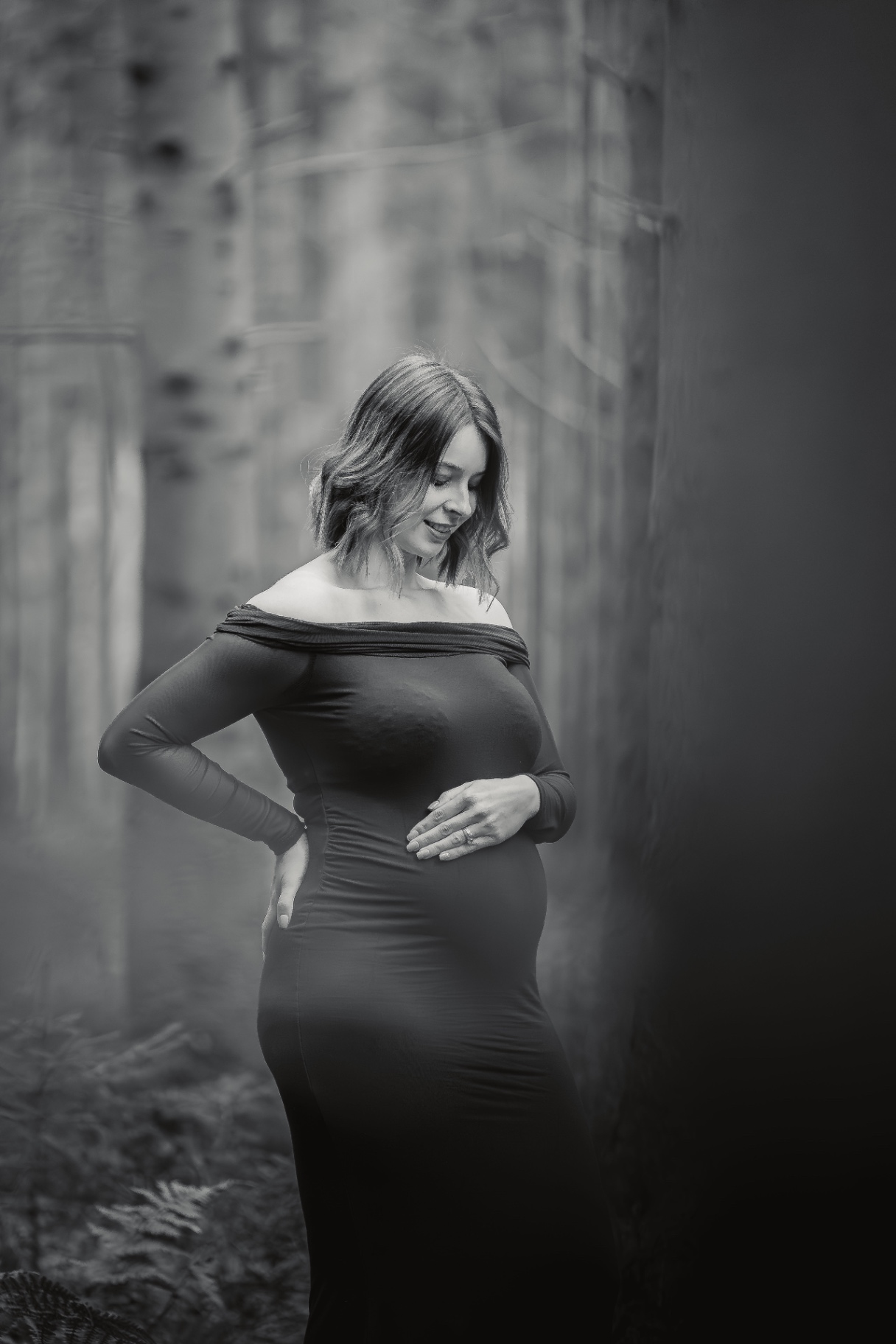 16112024-BIL03738-Avec accentuation-Bruit.jpg