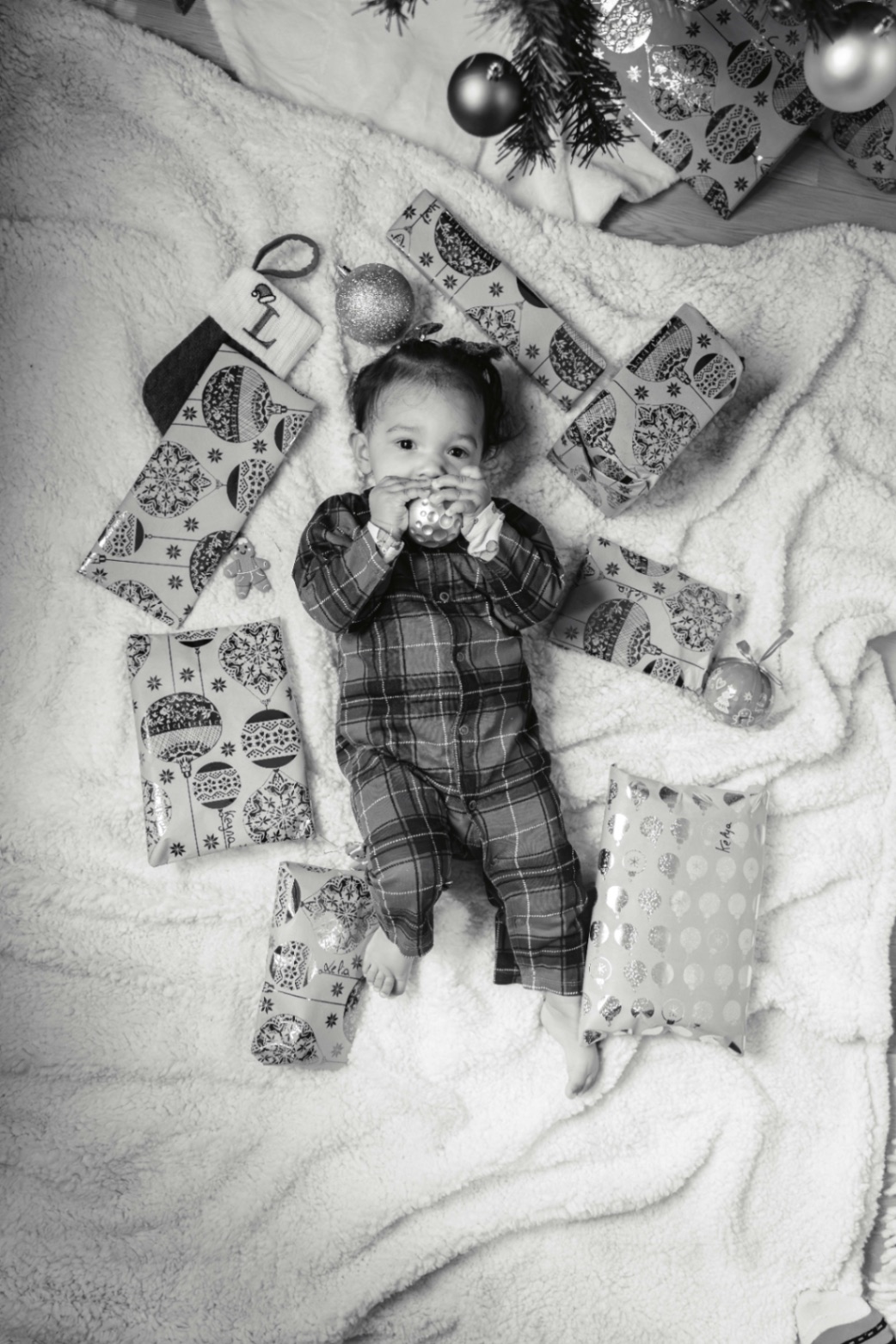 21122024-BIL04342-Avec accentuation-Bruit.jpg