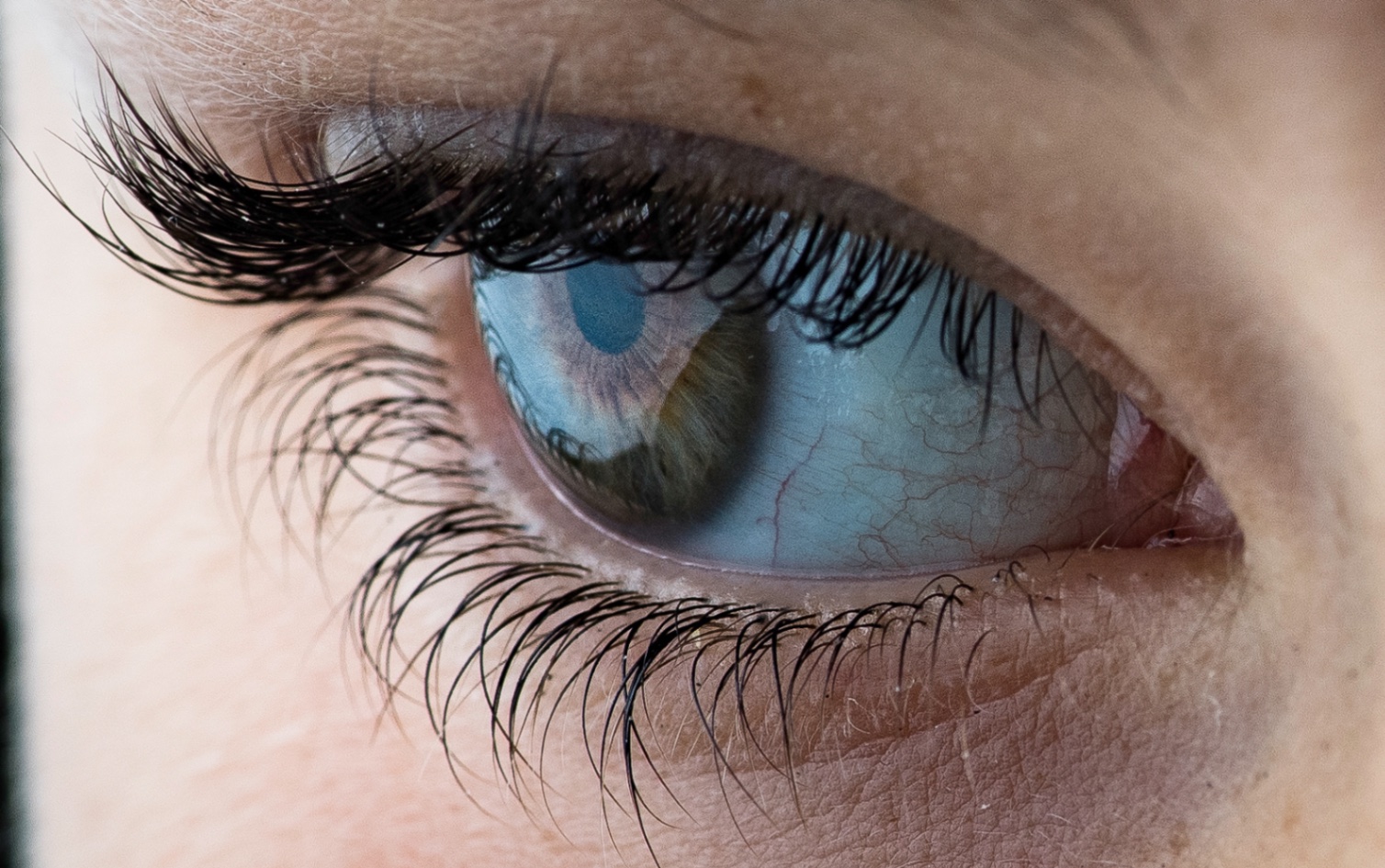 Eyes  Design by Gil Tirlet-6.jpg