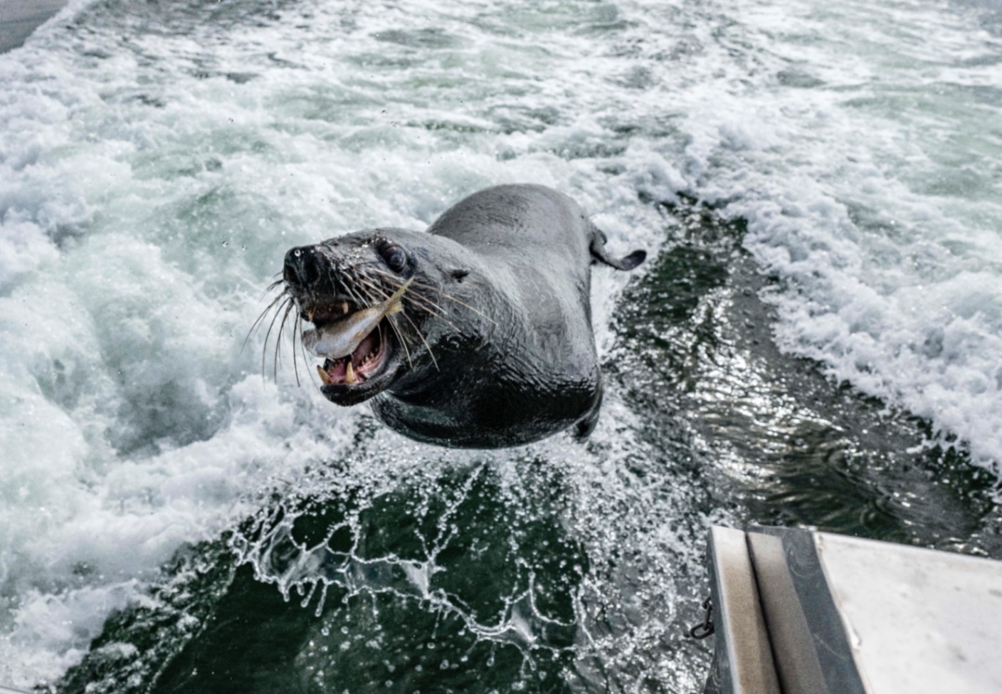 Voyage en Atmosph'Air ( Namibie ) by Gil Tirlet-16.jpg