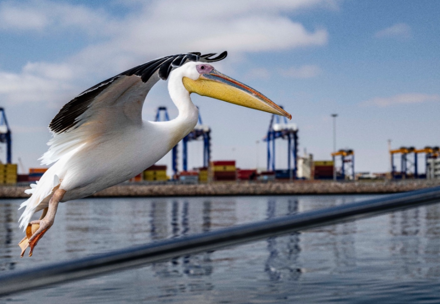 Voyage en Atmosph'Air ( Namibie ) by Gil Tirlet-17.jpg