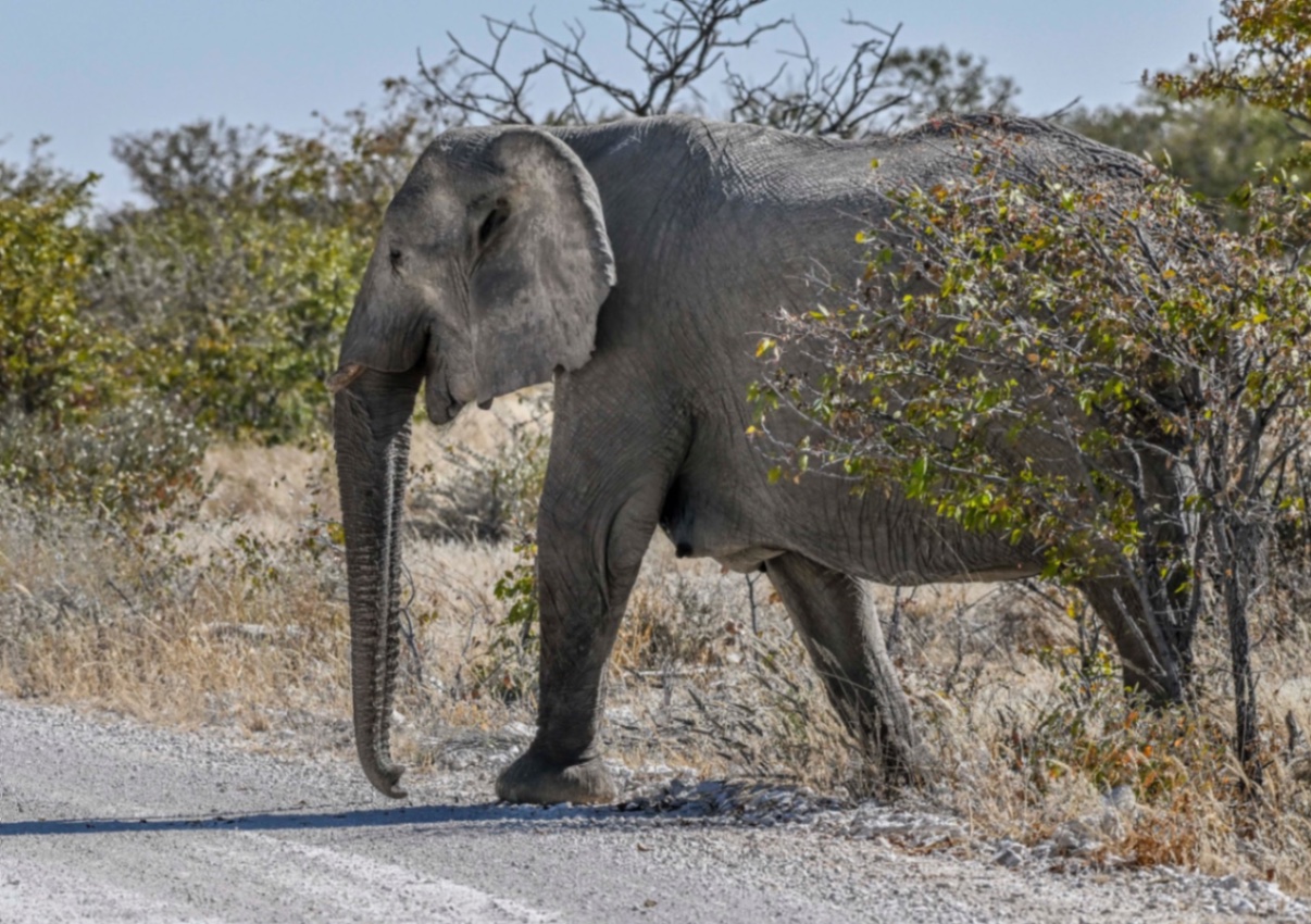 Voyage en Atmosph'Air ( Namibie ) by Gil Tirlet-36.jpg