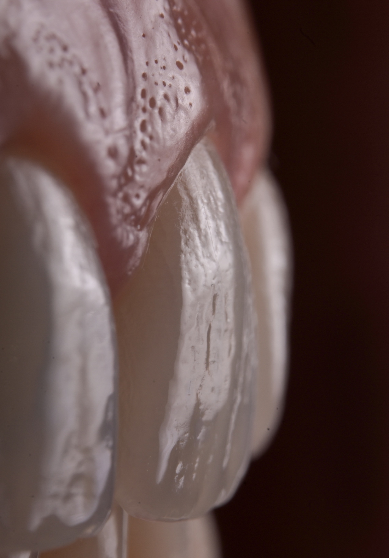 Texture   Design by Gil Tirlet-3.jpg