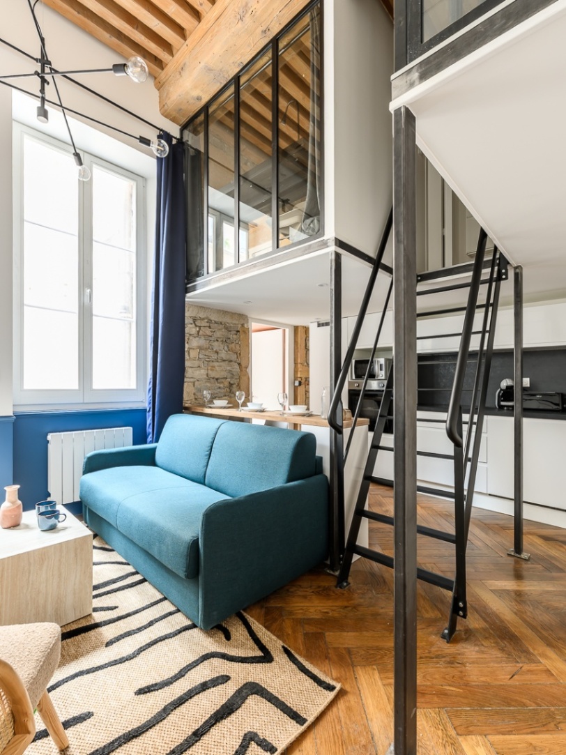 vue-generale-appartement-mezzanine-lyon.jpg