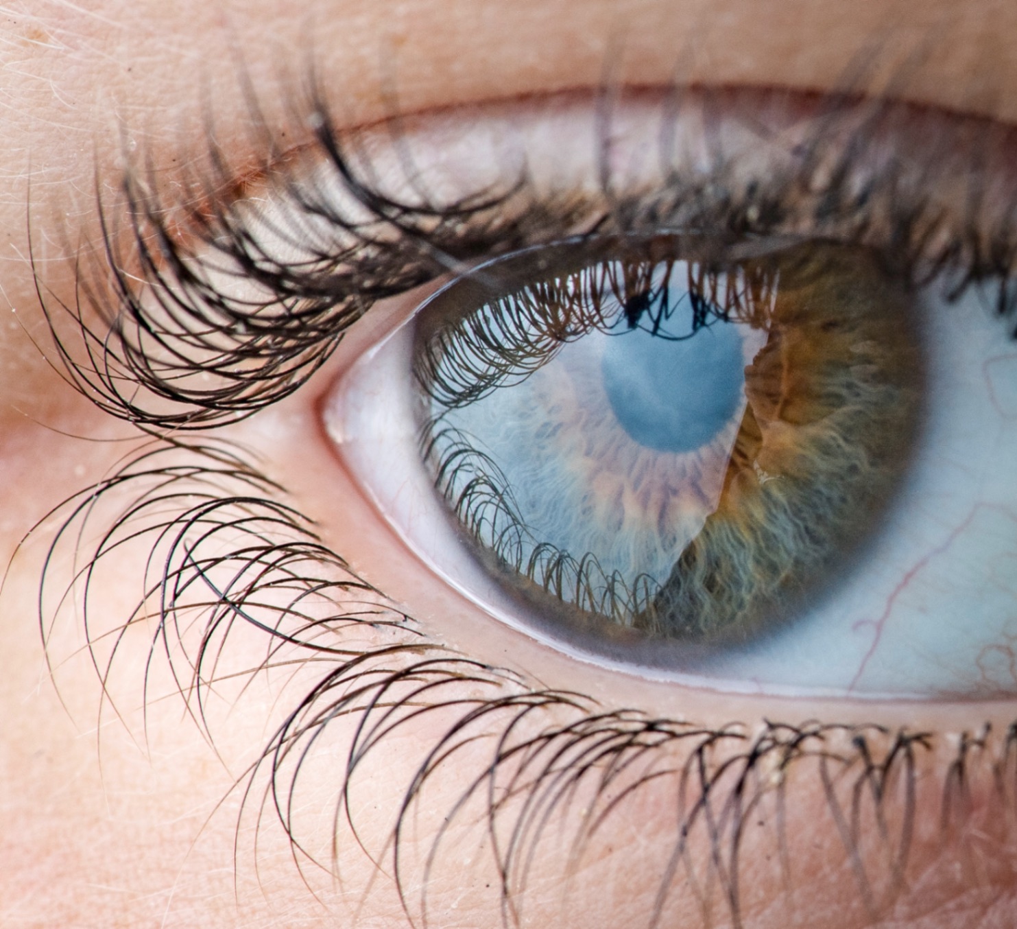 Eyes  Design by Gil Tirlet-7.jpg