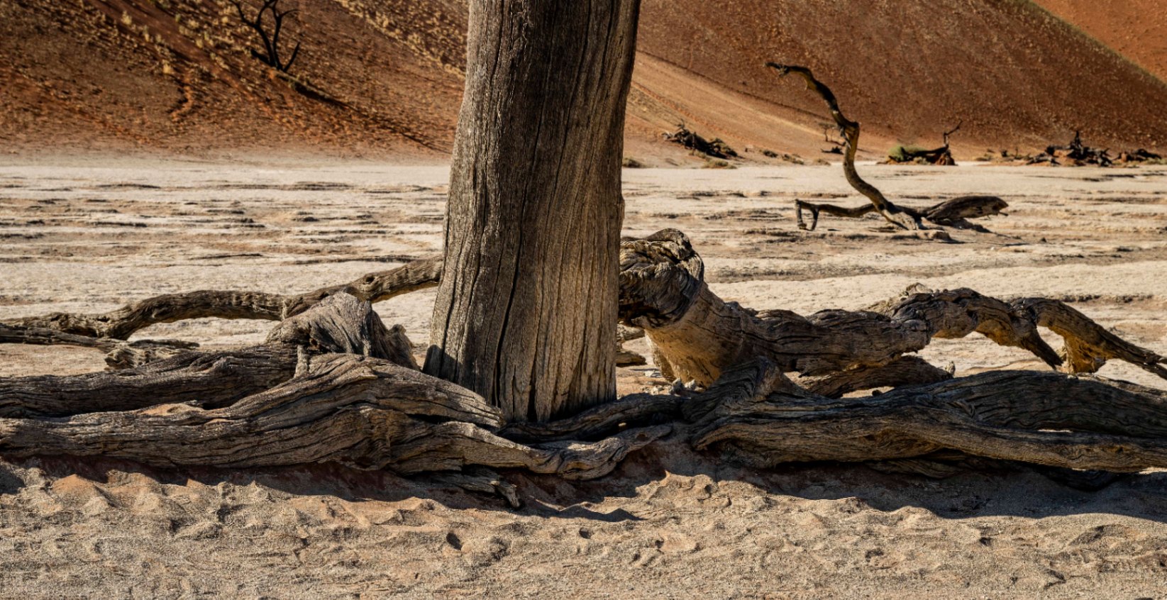 Livre Whitewall Namibie 2025 by Gil Tirlet-161.jpg