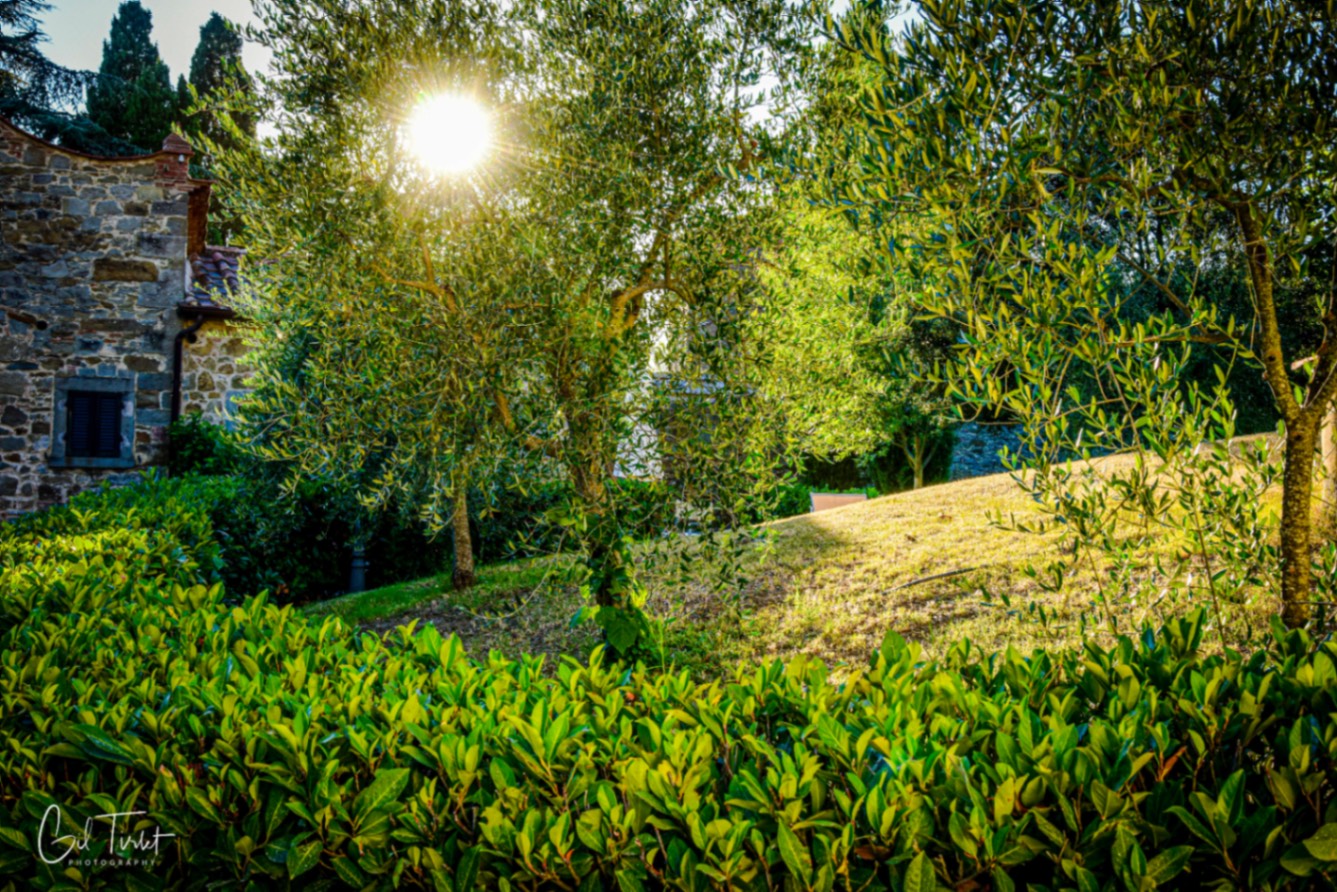 Voyage en atmosph'air Toscane-14.jpg