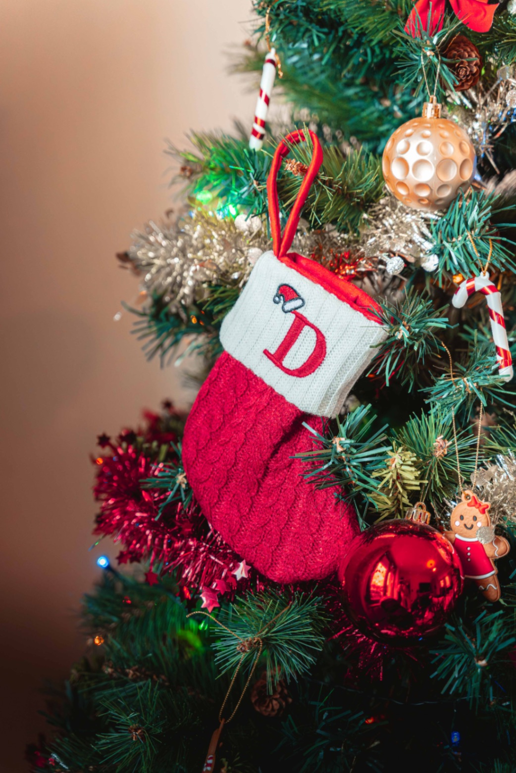 21122024-BIL04329-Avec accentuation-Bruit.jpg