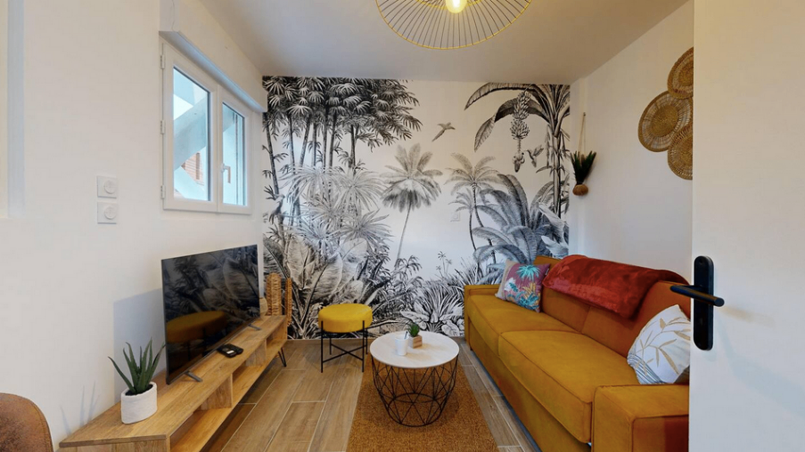 rénovation studio ambiance tropicale.png