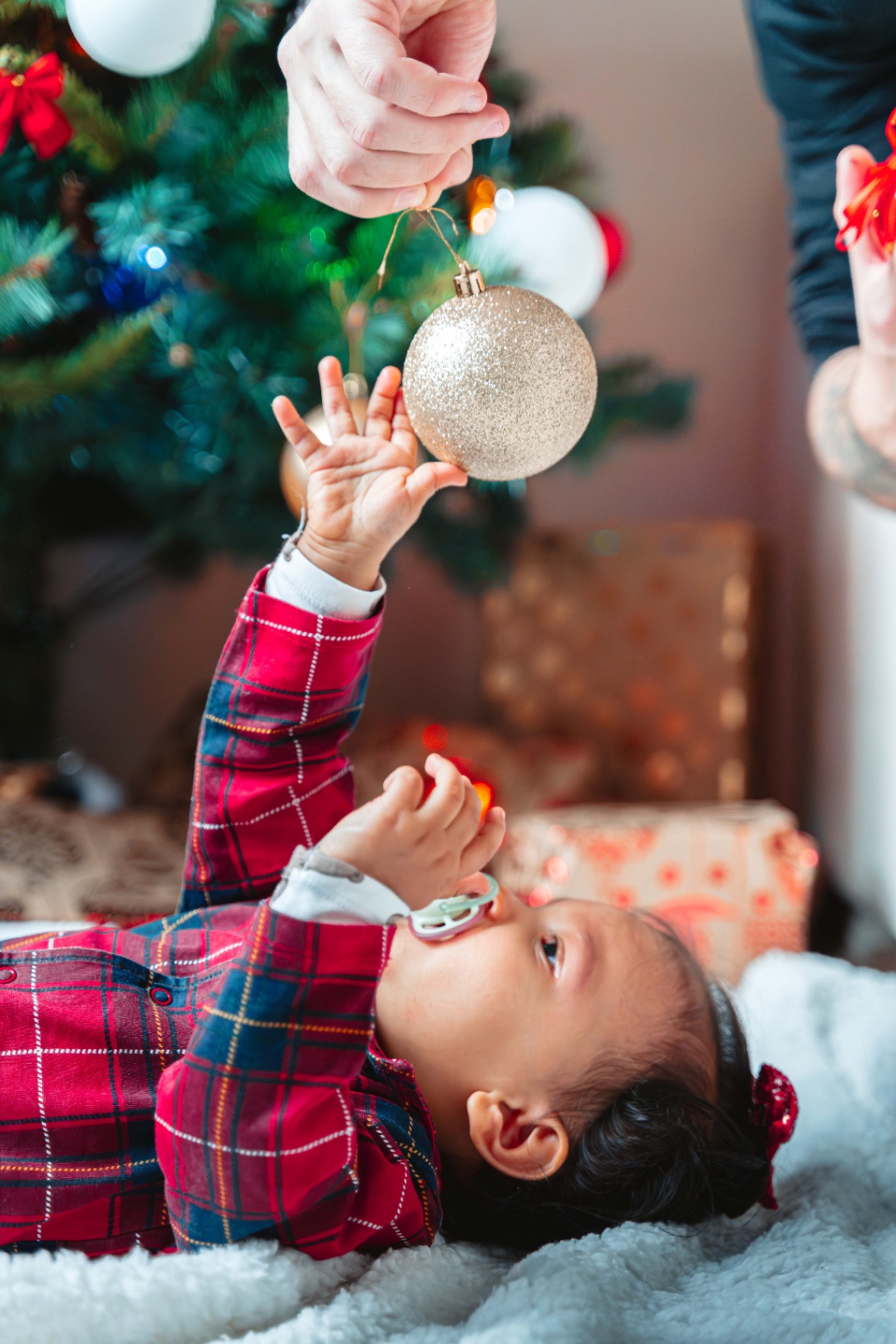 21122024-BIL04615-Avec accentuation-Bruit.jpg