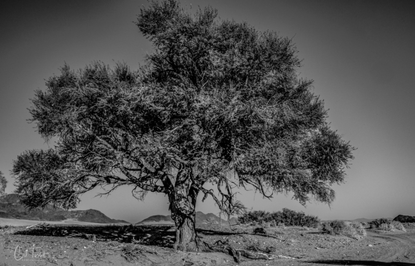 Voyage en Atmosph'Air ( Namibie ) by Gil Tirlet-28.jpg