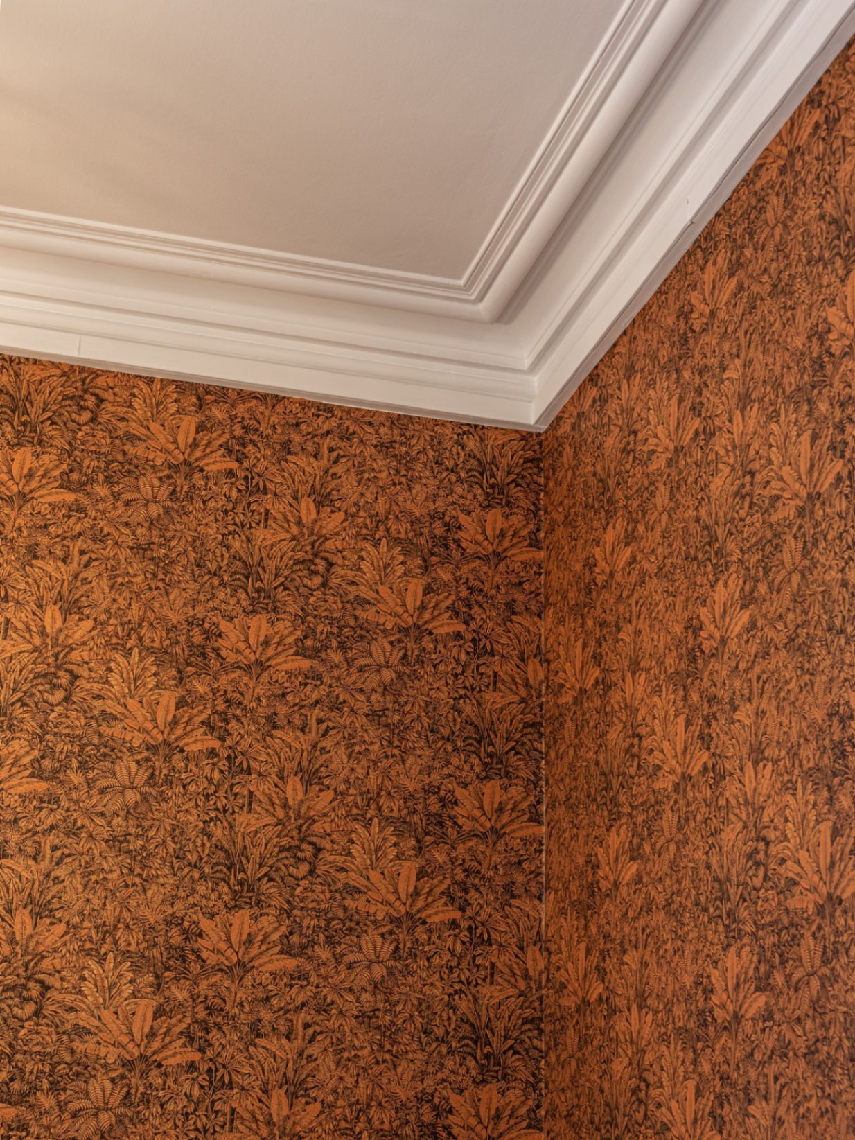 papier peint masurel- Appartement bourgeois Grenoble