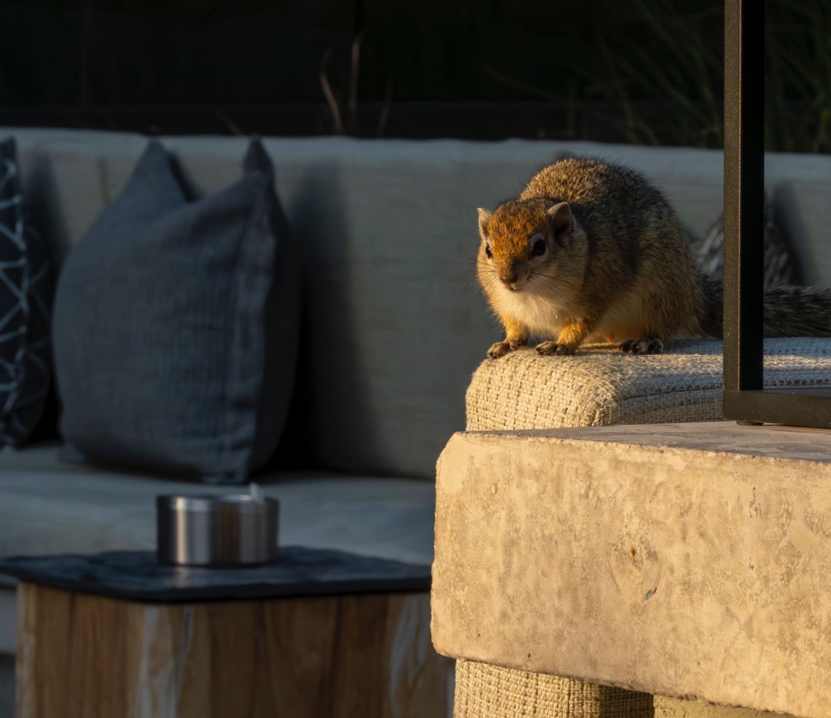 Voyage en Atmosph'Air ( Namibie ) by Gil Tirlet-32.jpg