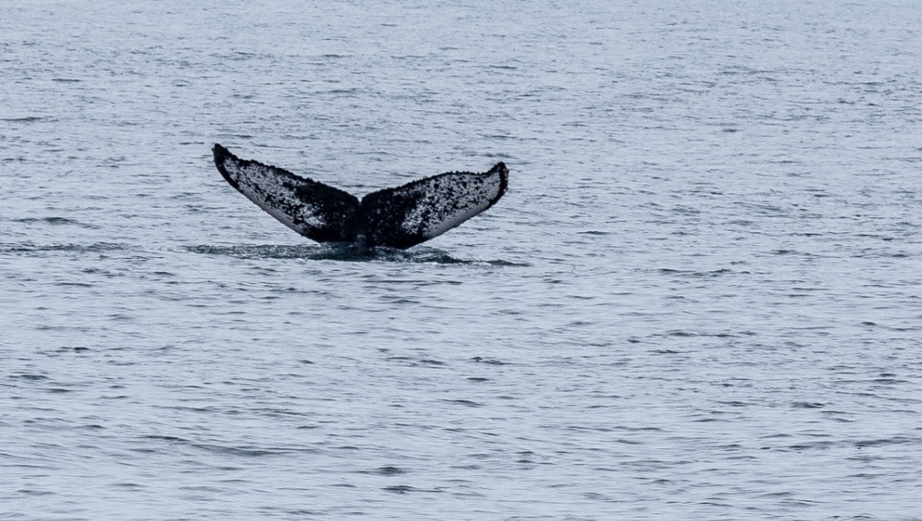Voyage en Atmosph'Air ( Namibie ) by Gil Tirlet-38.jpg