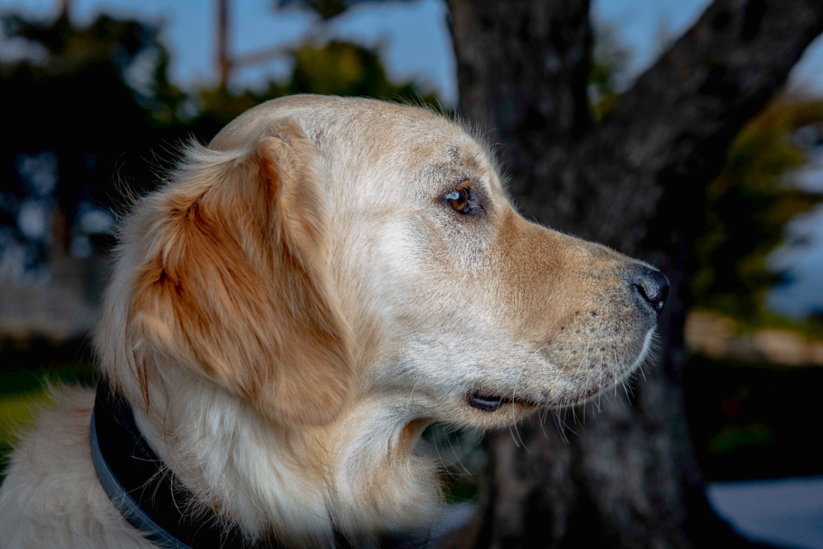 Shooting Design by Gil Tirlet-16.jpg