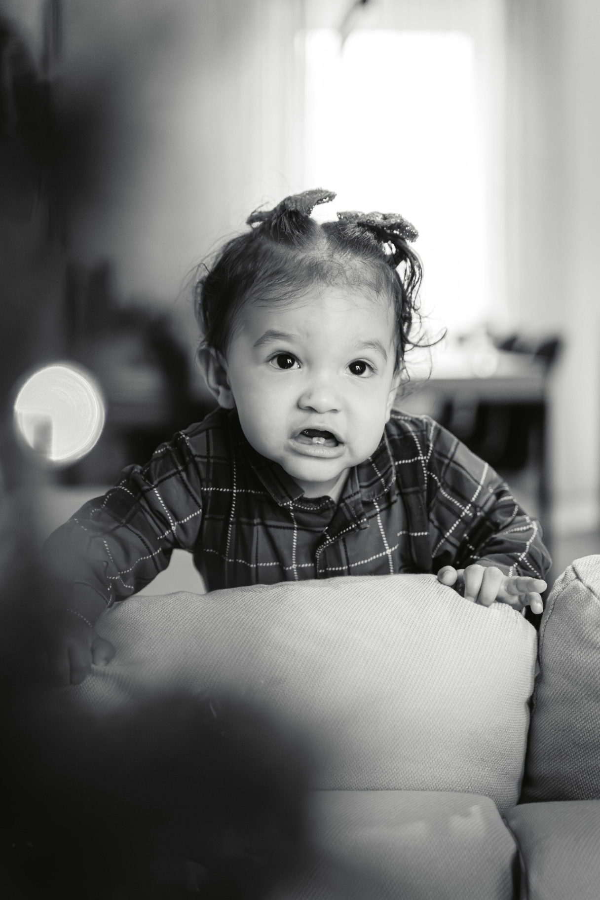 21122024-BIL04525-Avec accentuation-Bruit.jpg