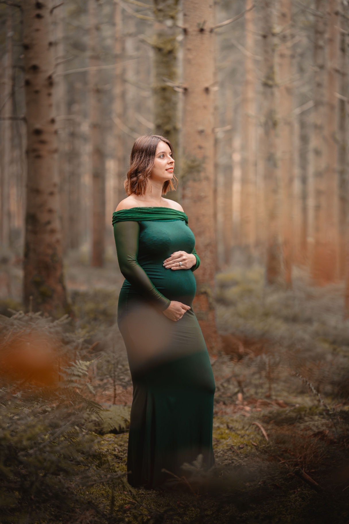 16112024-BIL03729-Avec accentuation-Bruit-1.jpg