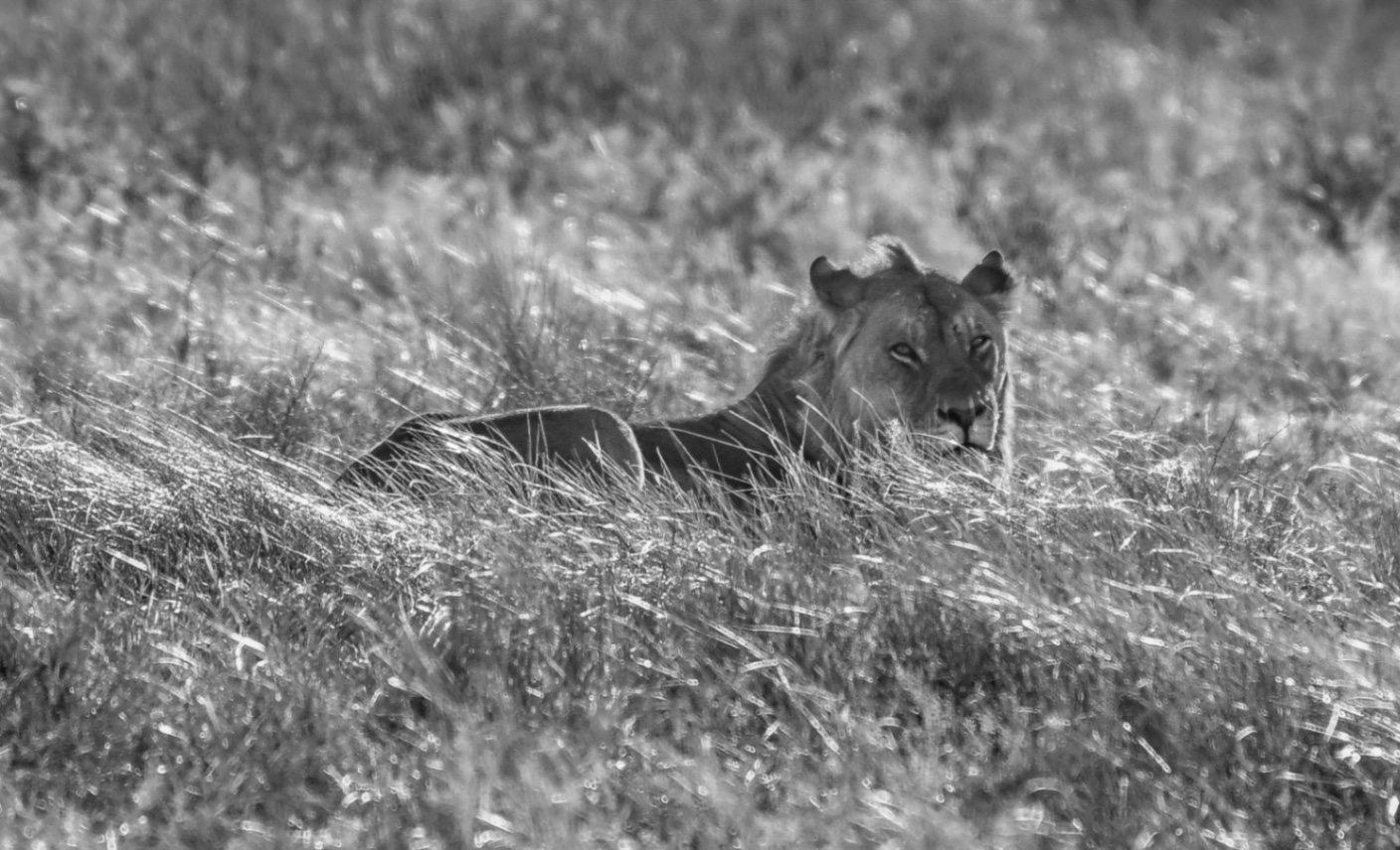 Voyage en Atmosph'Air ( Namibie ) by Gil Tirlet-30.jpg