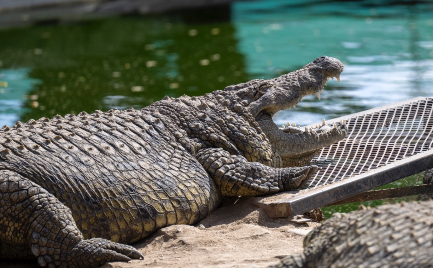 Voyage en Atmosph'Air ( Namibie ) by Gil Tirlet-26.jpg