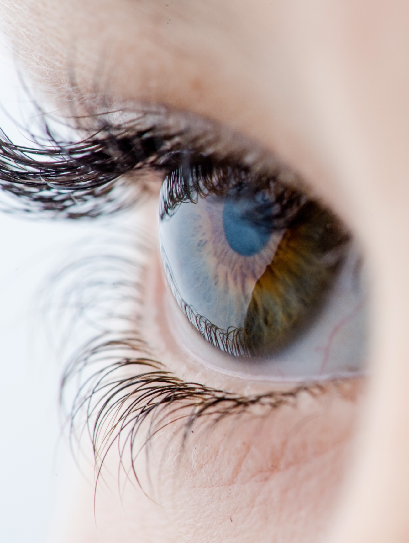 Eyes  Design by Gil Tirlet-5.jpg