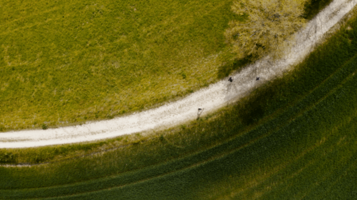 Vue en drone des coureurs sur un chemin lors du Trail de Paladru.png