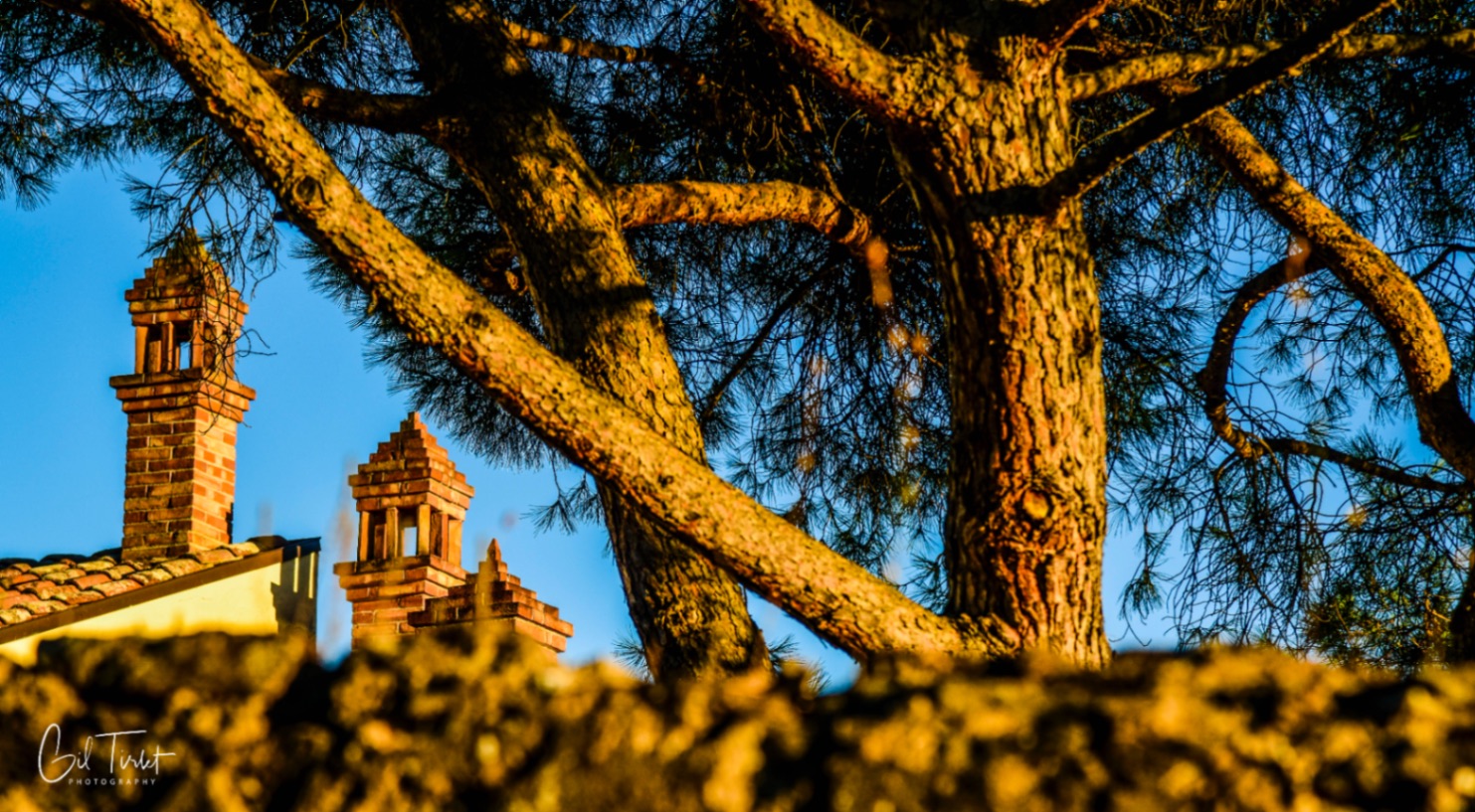 Voyage en atmosph'air Toscane-16.jpg