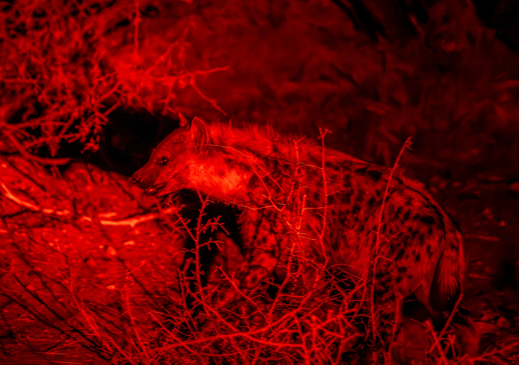 Livre Whitewall Namibie 2025 by Gil Tirlet-314.jpg