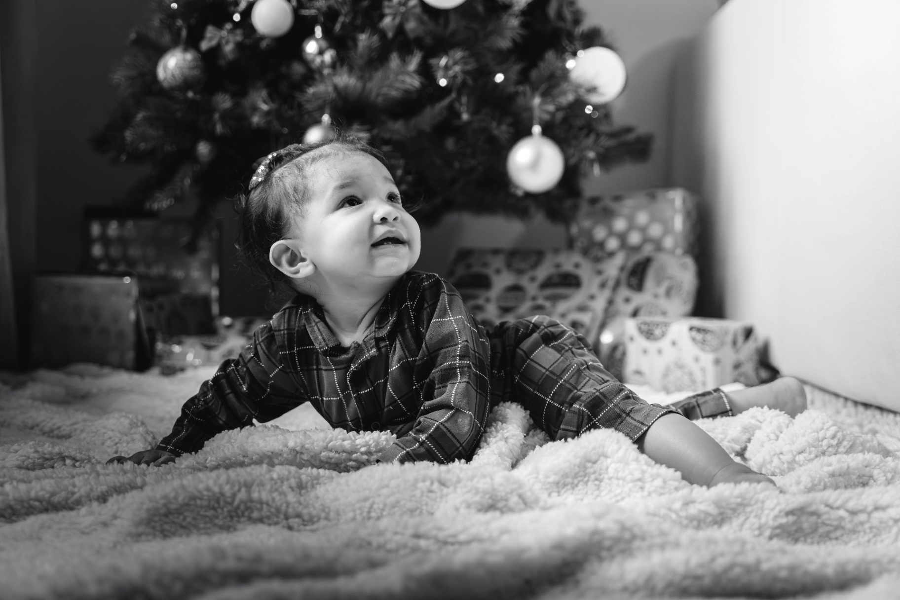 21122024-BIL04319-Avec accentuation-Bruit.jpg