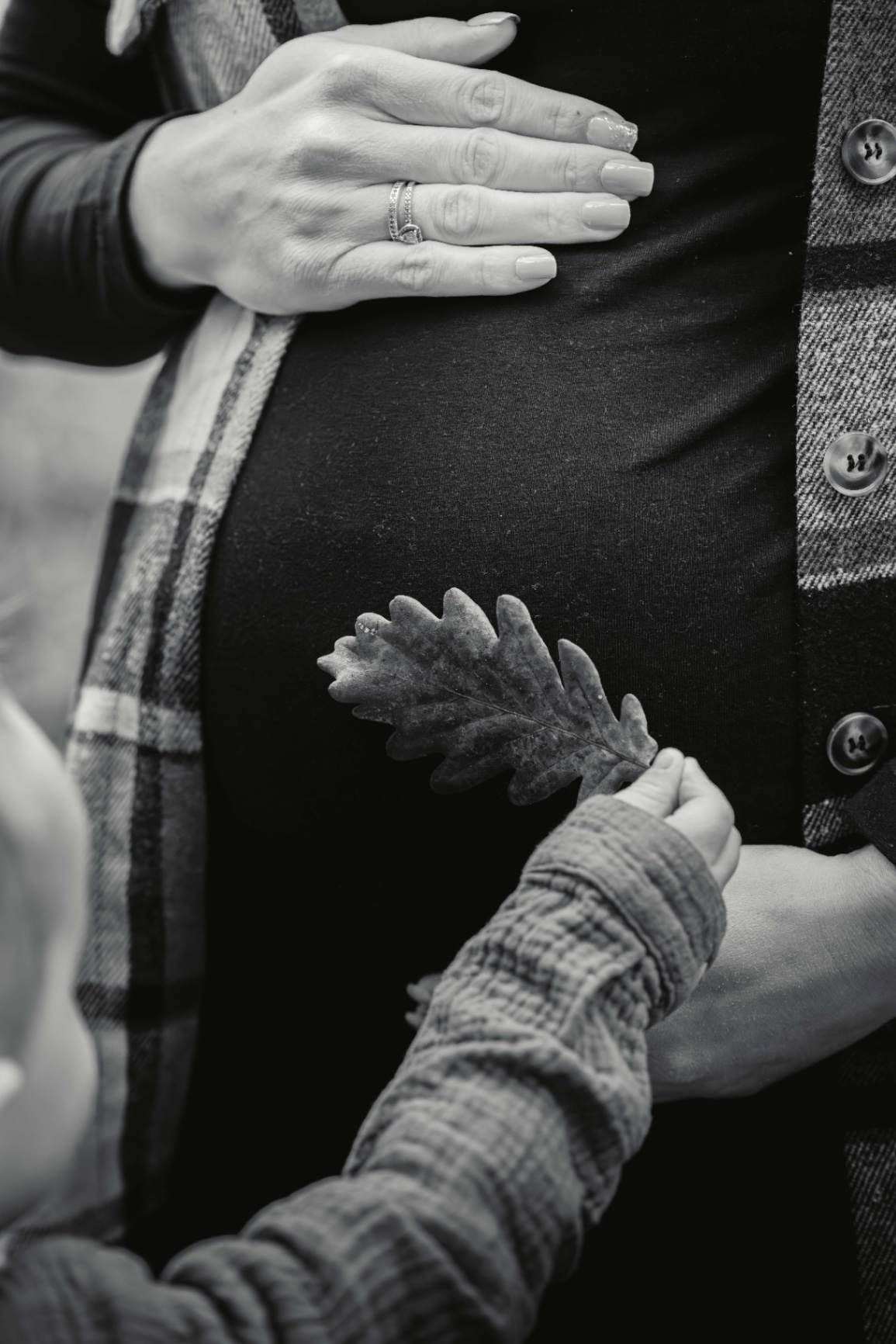 16112024-BIL03850-Avec accentuation-Bruit.jpg