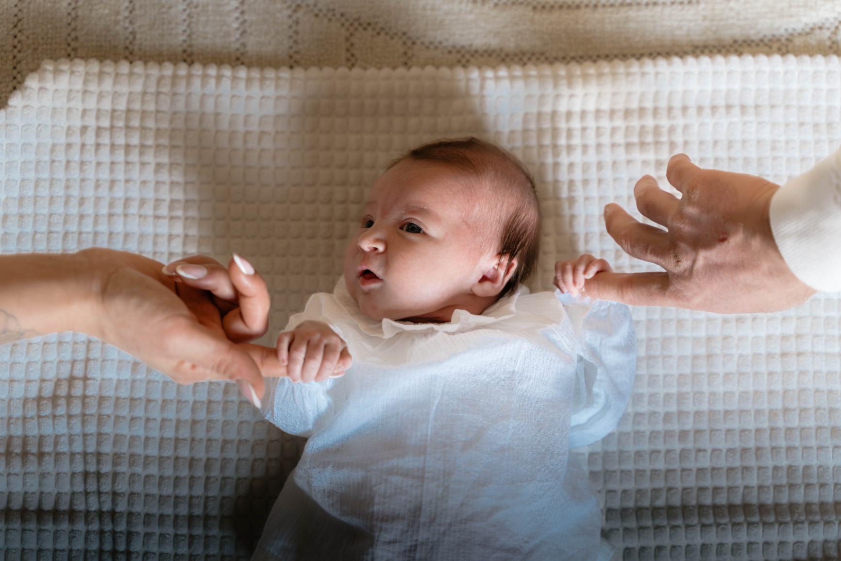 23022025-BIL06355-Avec accentuation-Bruit.jpg