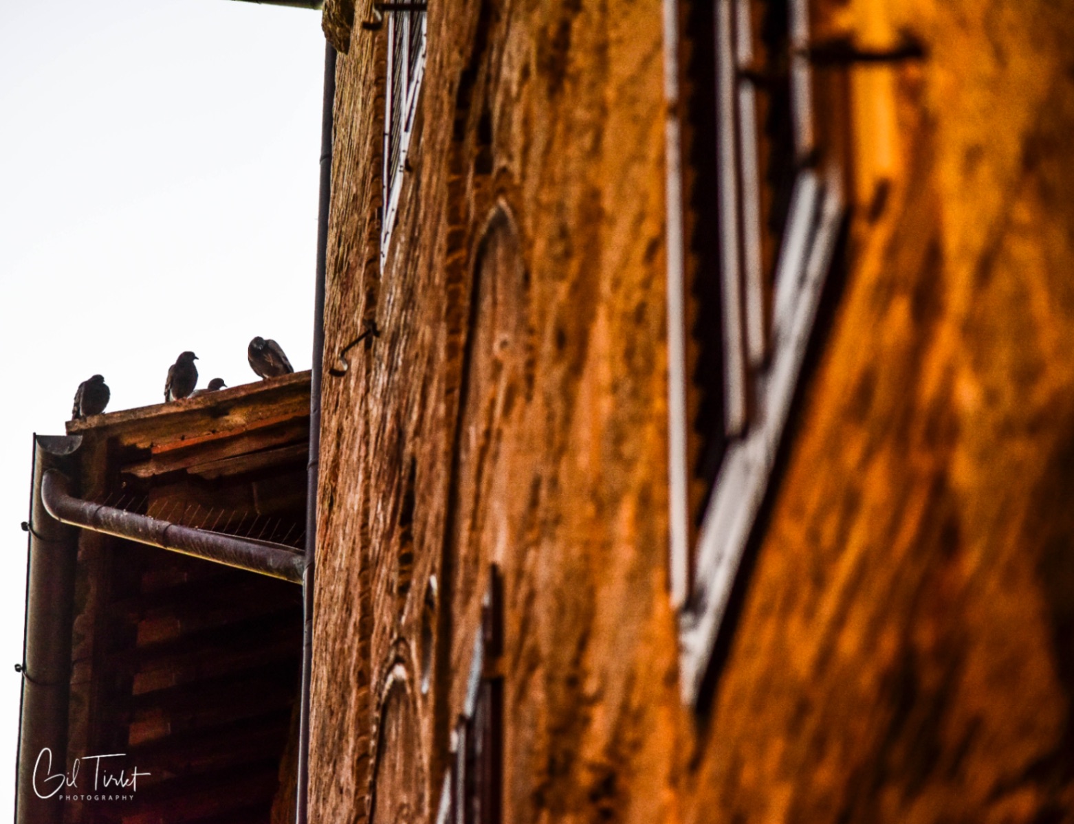 Voyage en atmosph'air Toscane-12.jpg