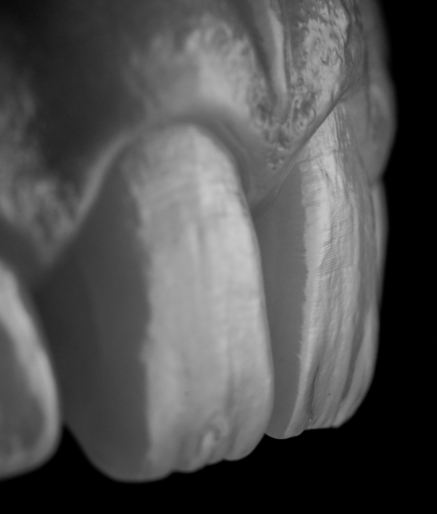 Texture   Design by Gil Tirlet-6.jpg