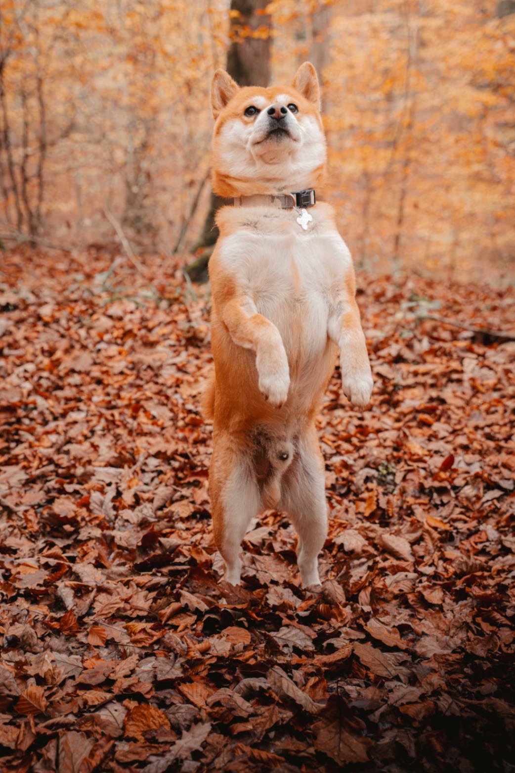 16112024-BIL04131-Avec accentuation-Bruit.jpg