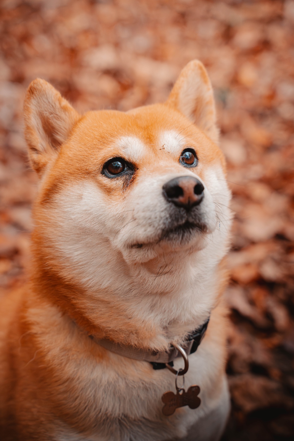 16112024-BIL04126-Avec accentuation-Bruit.jpg