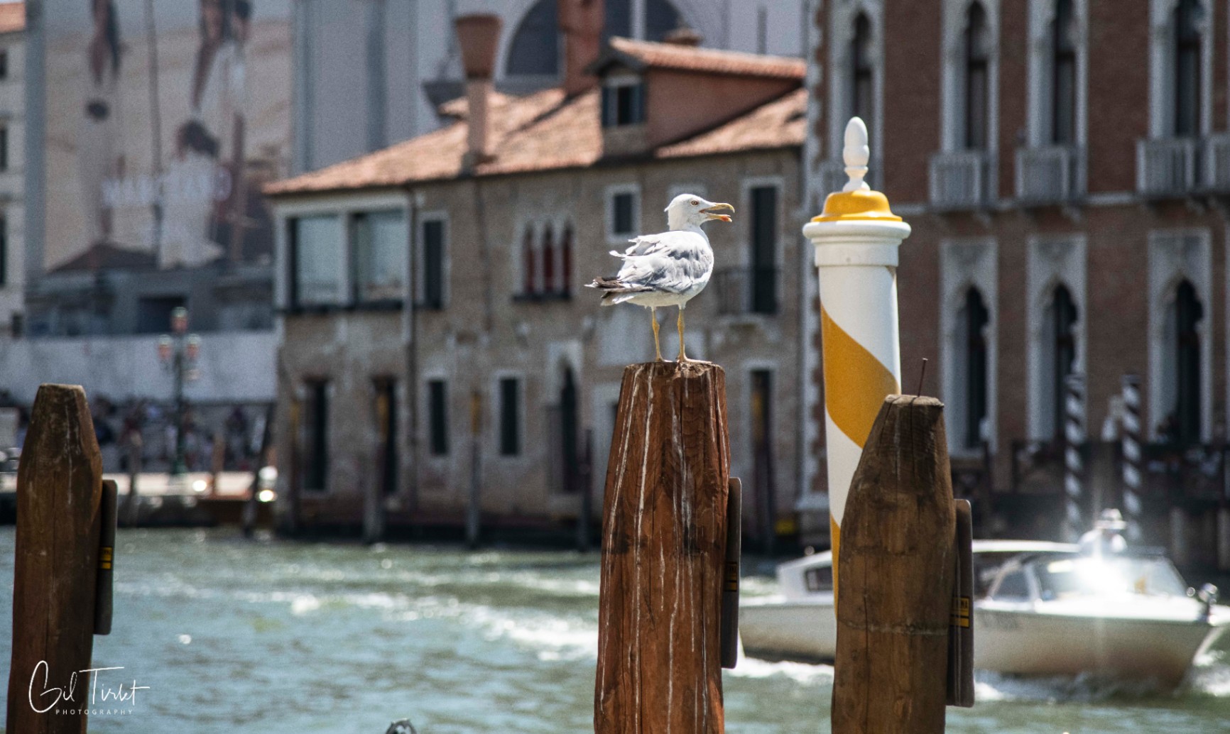 Voyage en atmosph'air-5.jpg