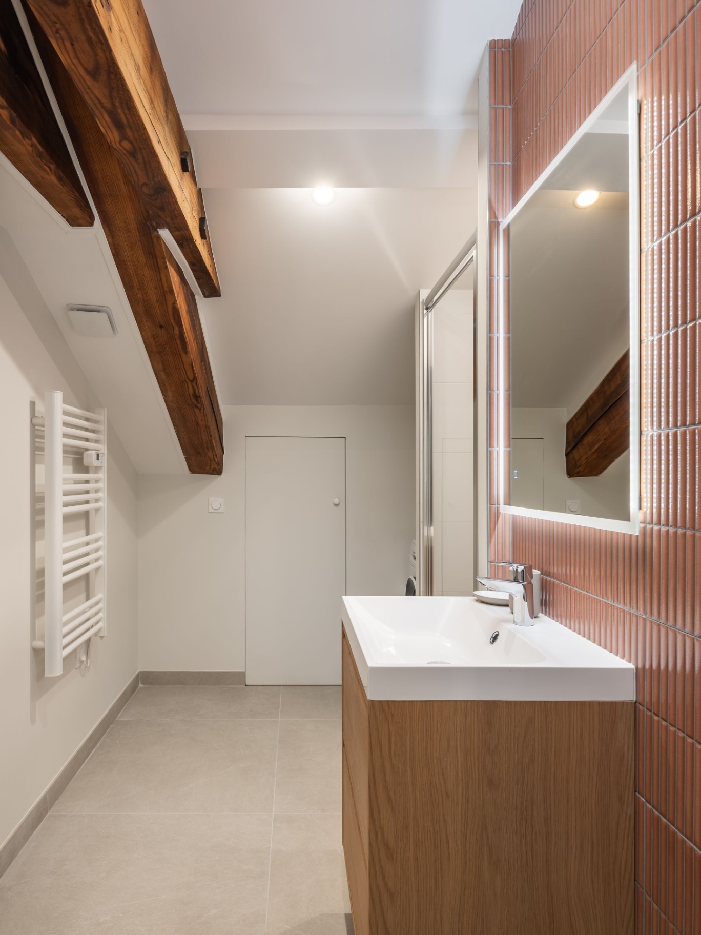 loft-sous-combles-lyon-5-salle-de-bain.jpg