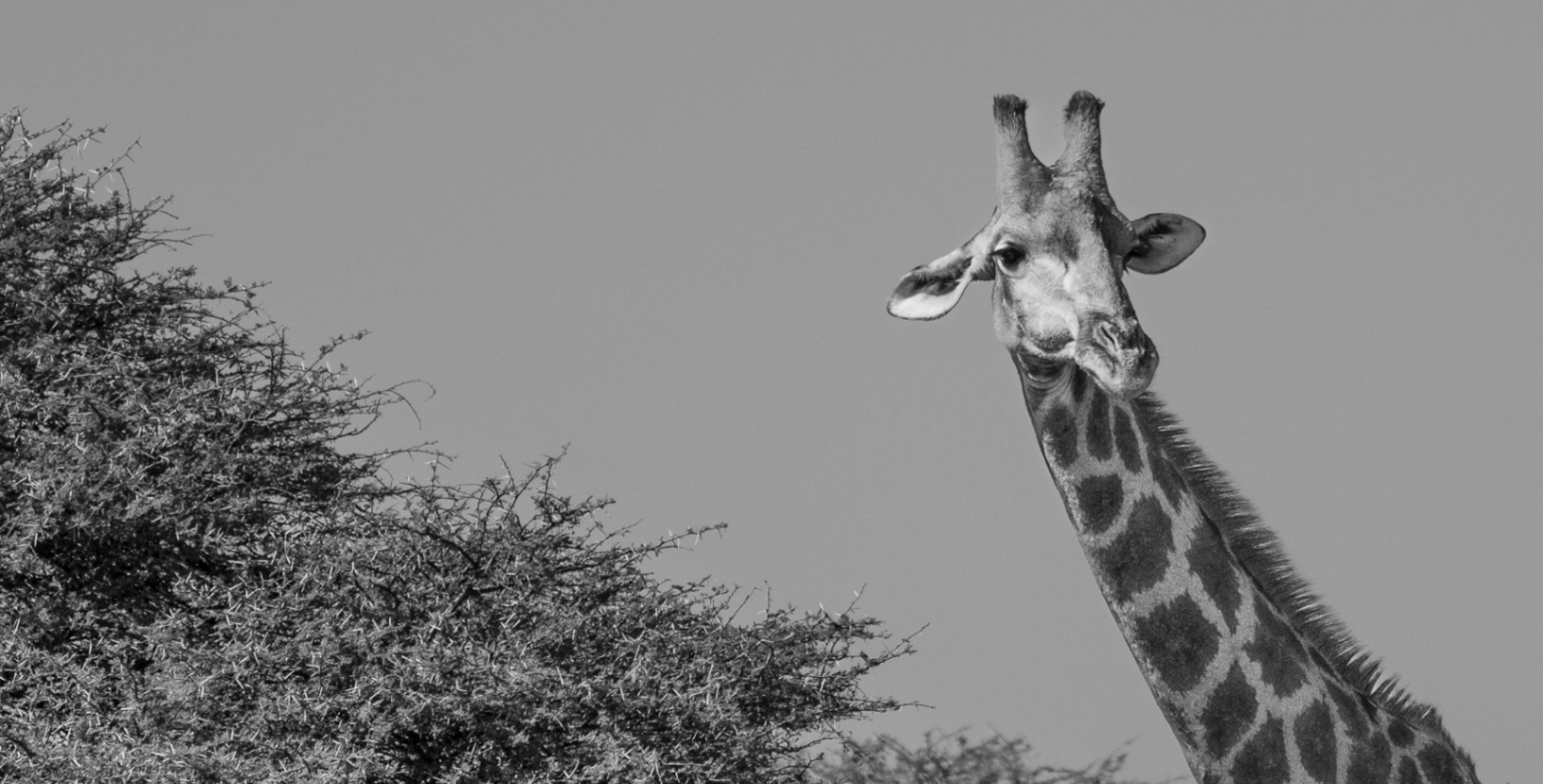 Voyage en Atmosph'Air ( Namibie ) by Gil Tirlet-23.jpg