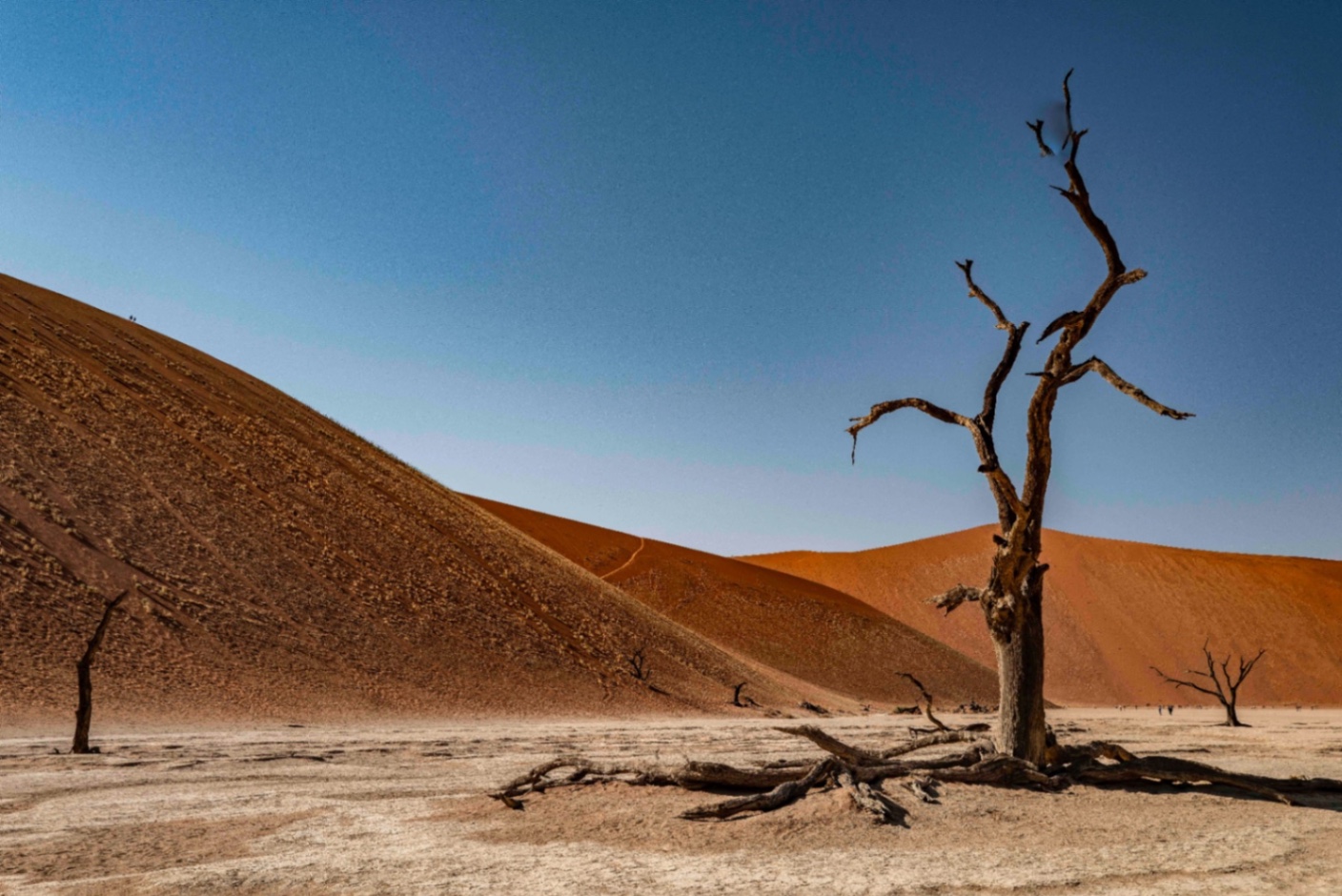 Voyage en Atmosph'Air ( Namibie ) by Gil Tirlet-12.jpg