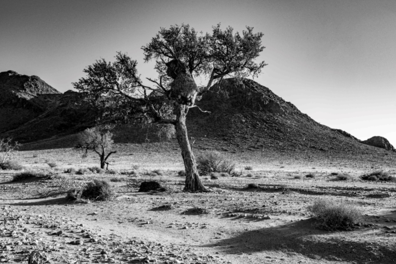 Voyage en Atmosph'Air ( Namibie ) by Gil Tirlet-19.jpg