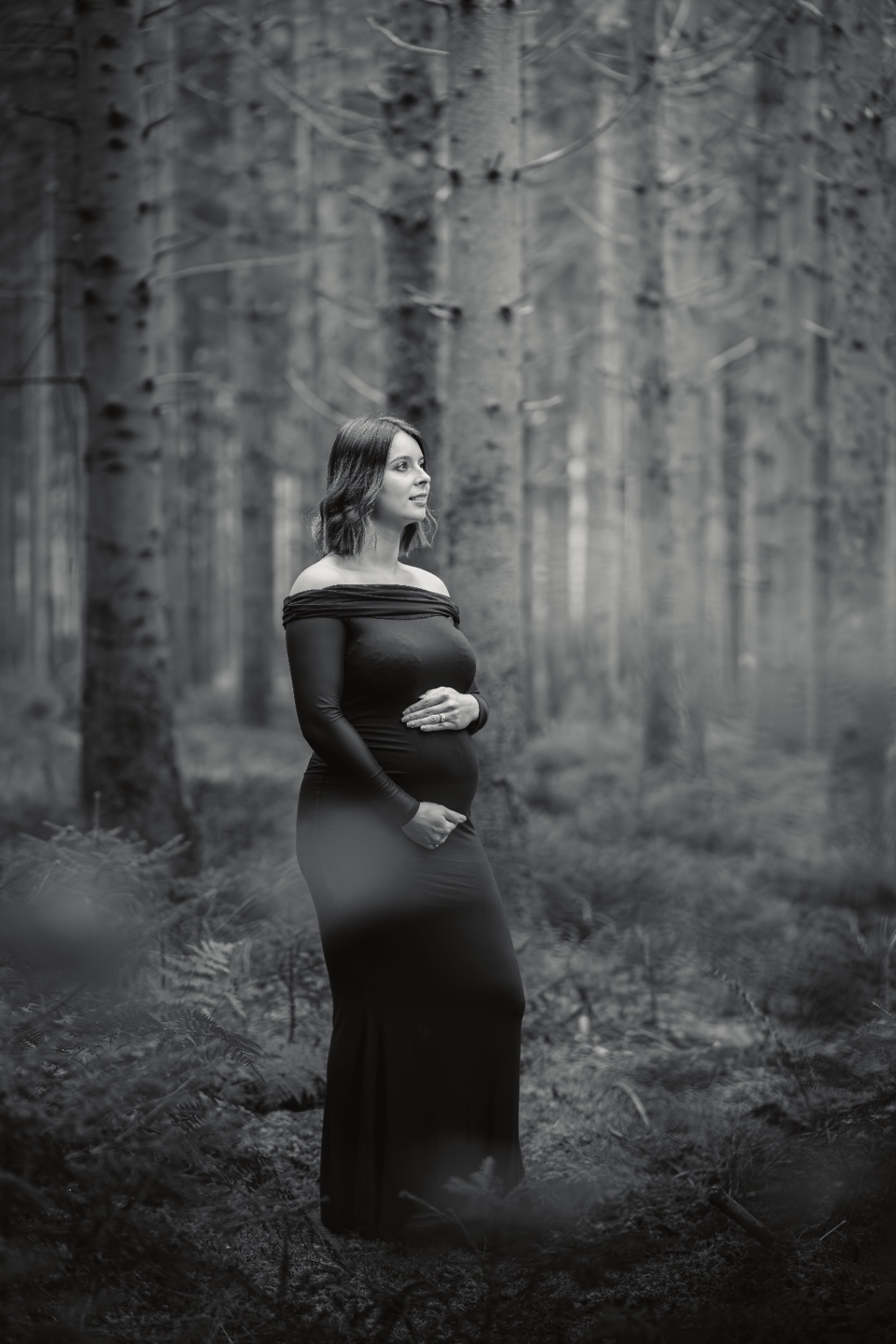 16112024-BIL03730-Avec accentuation-Bruit-1.jpg