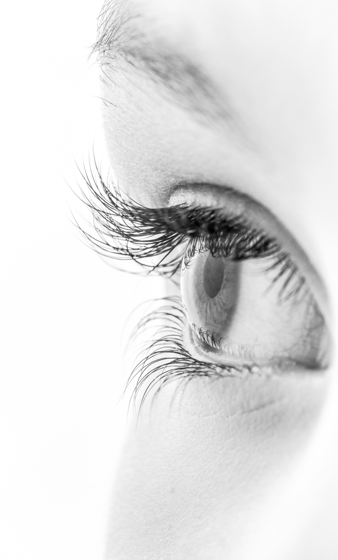 Eyes  Design by Gil Tirlet.jpg